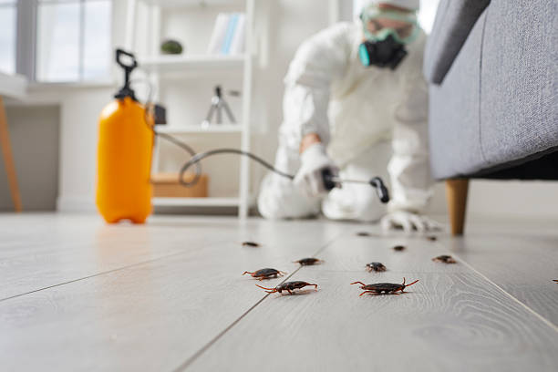 Trusted Rodent Control service in Pottstown, PA - Nex Pest Control