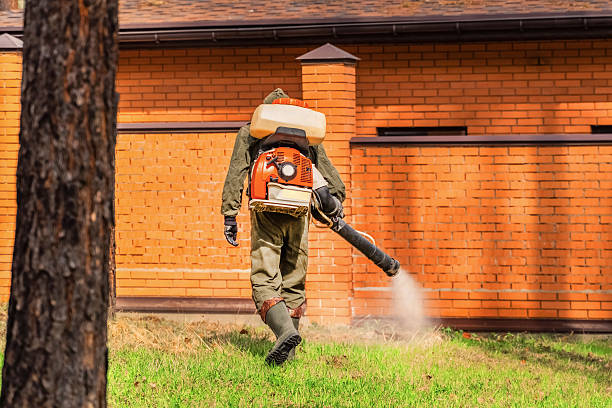 Trusted Bed Bug Control service in Pottstown, PA - Nex Pest Control